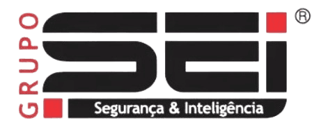Grupo SEI - Vigilância e Segurança